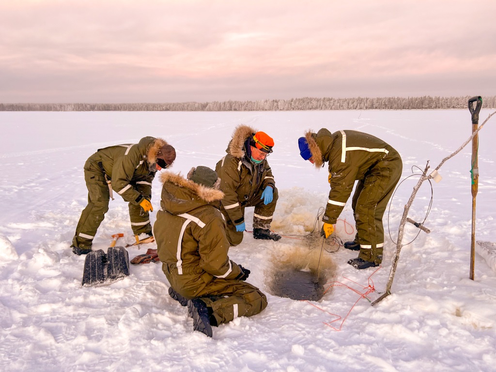 Ice fishing with nets at Saariniemi Estate, Lapland Deluxe Rovaniemi