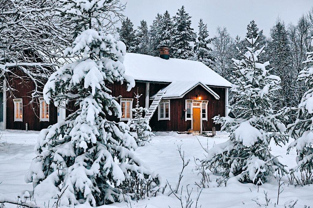 Private Arctic estate near Rovaniemi, Finnish Lapland for official and professional delegations
